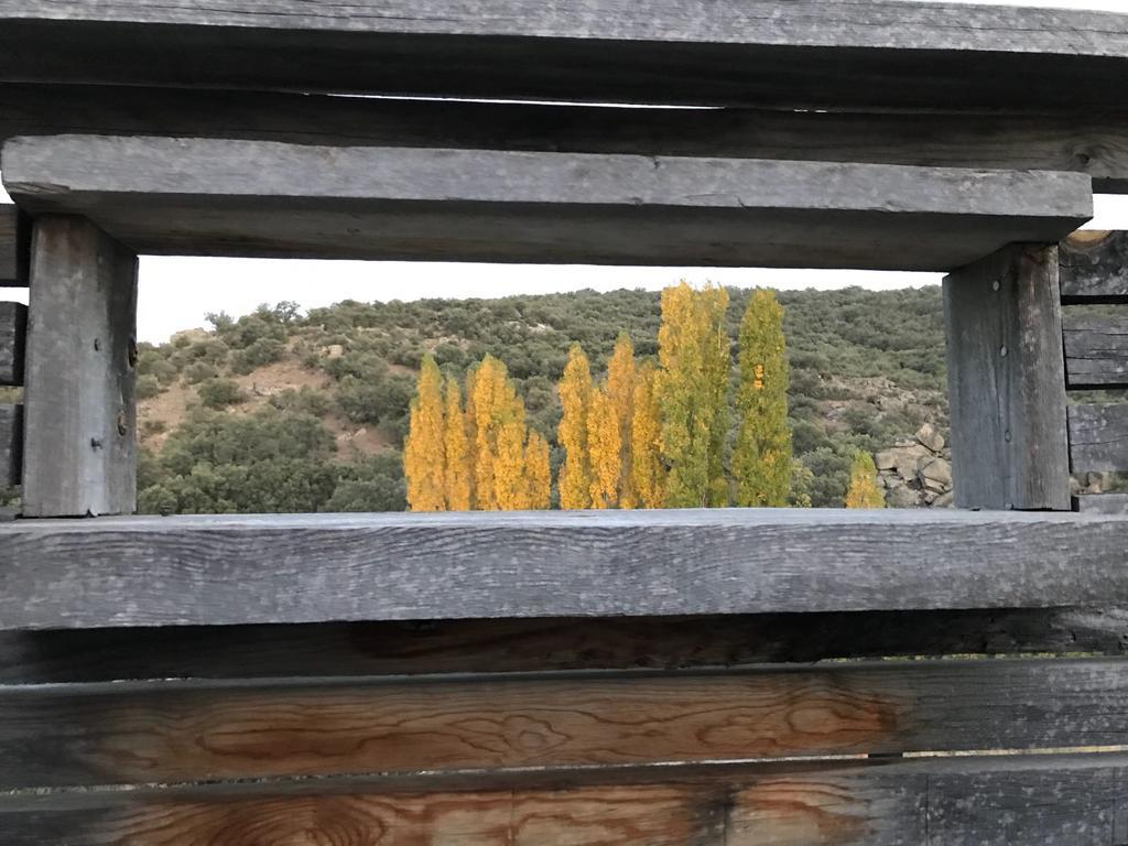 Rusticae Molino De Los Gamusinos ξενώνας Tolbaños Εξωτερικό φωτογραφία